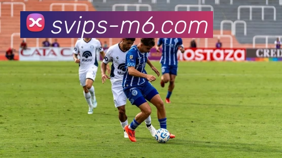 M10体育投注平台APP 高清赛事图